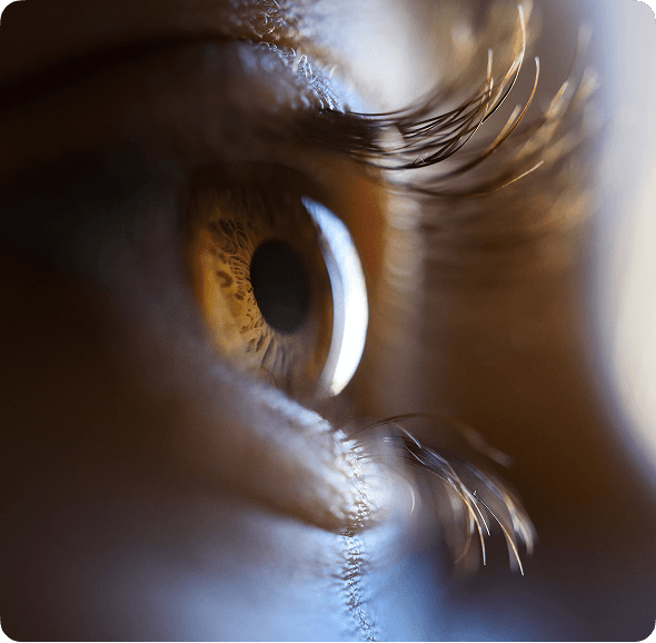 Close-up of a human eye representing vision and foresight